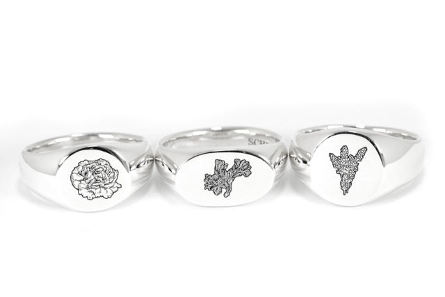 Lavender Signet Ring – Handmade Solid 925 Silver | Lesbian & WLW Symbol