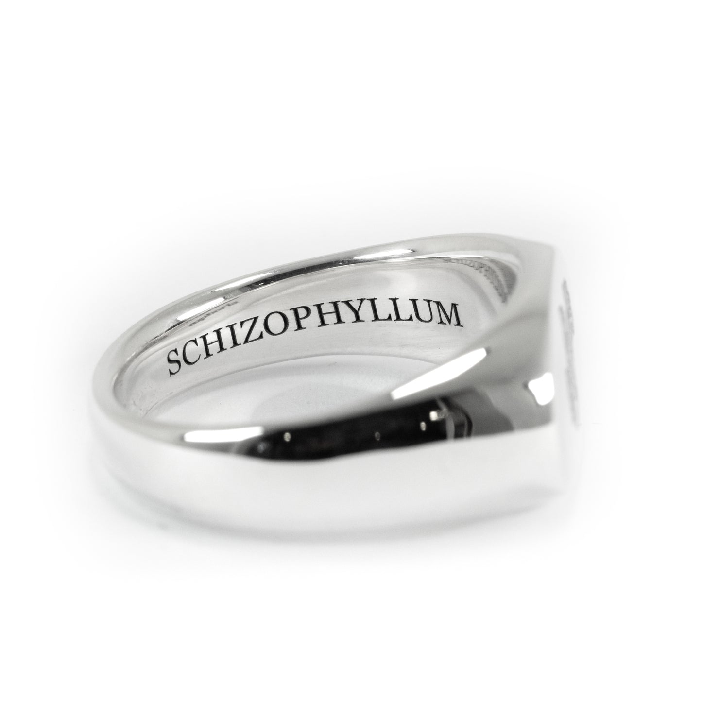 Mushroom Signet Ring – Handmade Solid 925 Silver | Gender Diversity Symbol