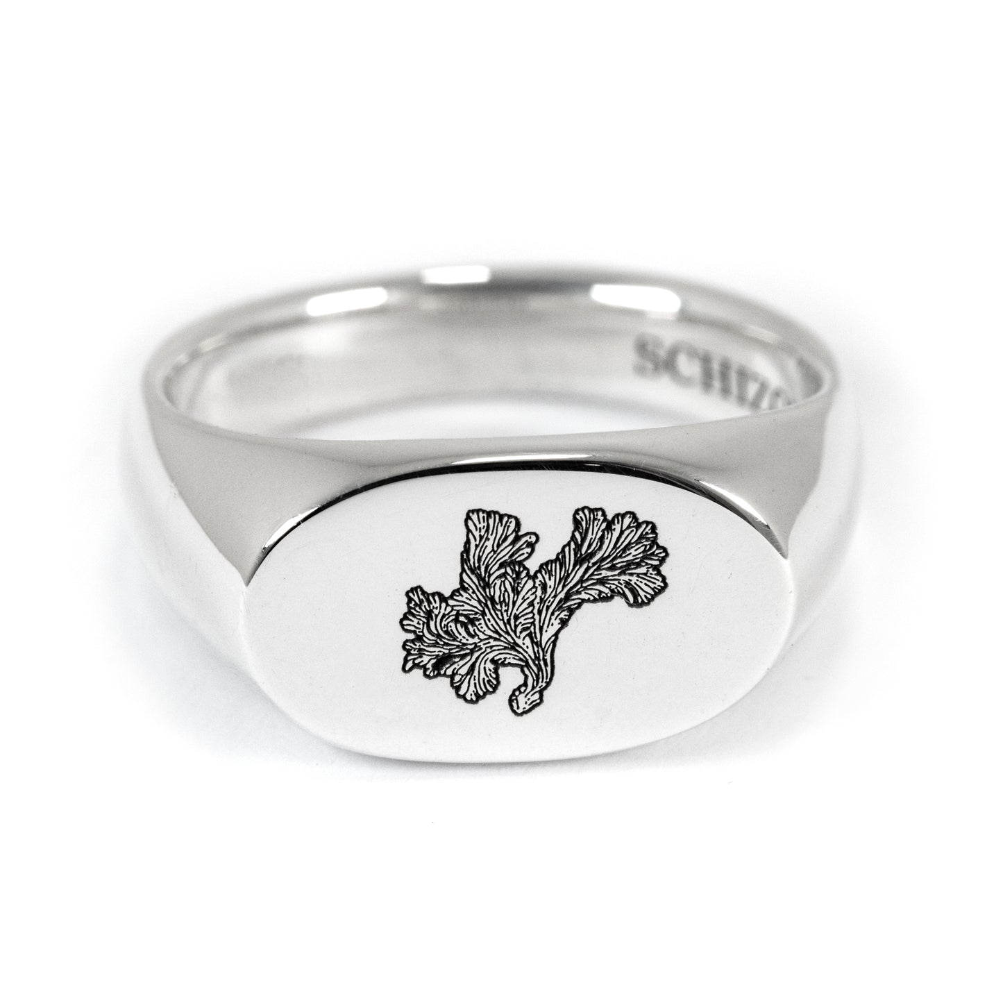 Mushroom Signet Ring – Handmade Solid 925 Silver | Gender Diversity Symbol