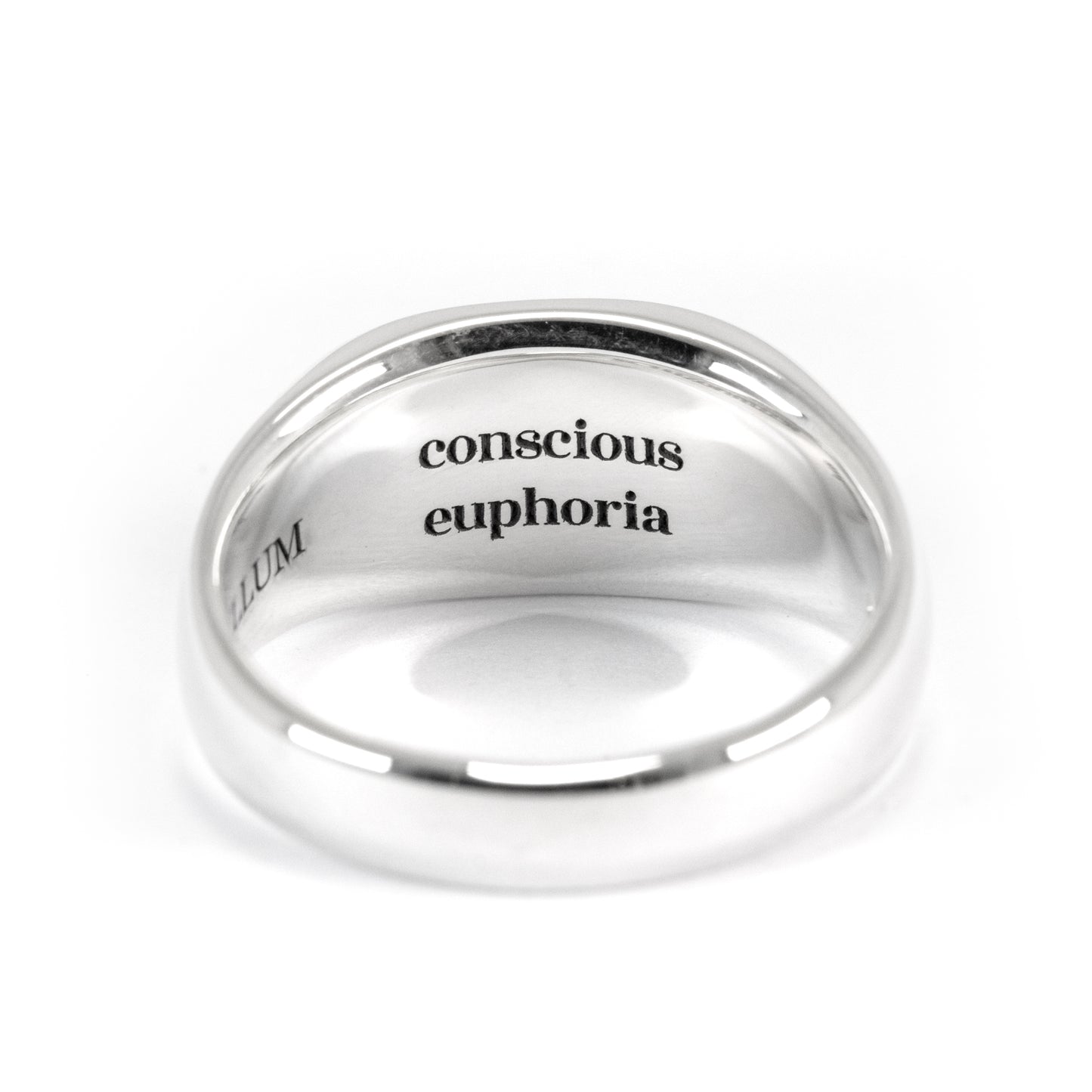 Mushroom Signet Ring – Handmade Solid 925 Silver | Gender Diversity Symbol