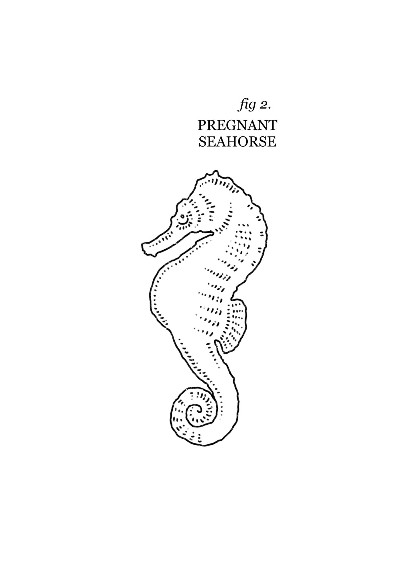 Queer Sea Themed Tattoo Flash Sheet | Monochrome Line Art