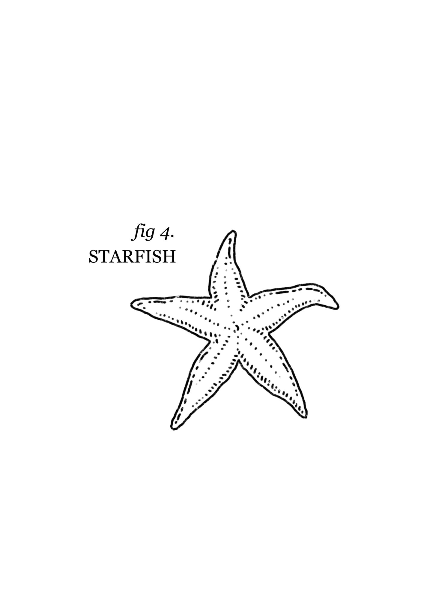 Queer Sea Themed Tattoo Flash Sheet | Monochrome Line Art