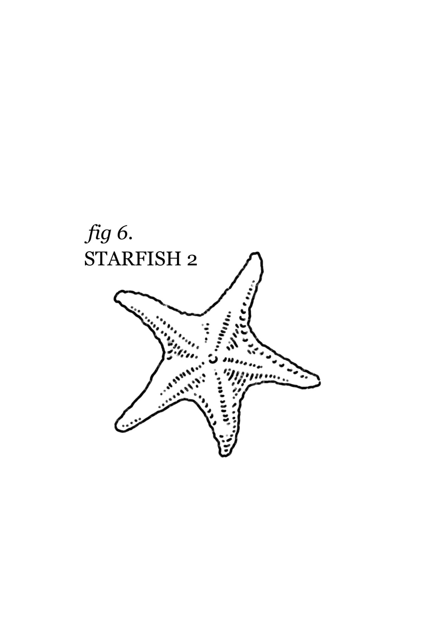 Queer Sea Themed Tattoo Flash Sheet | Monochrome Line Art