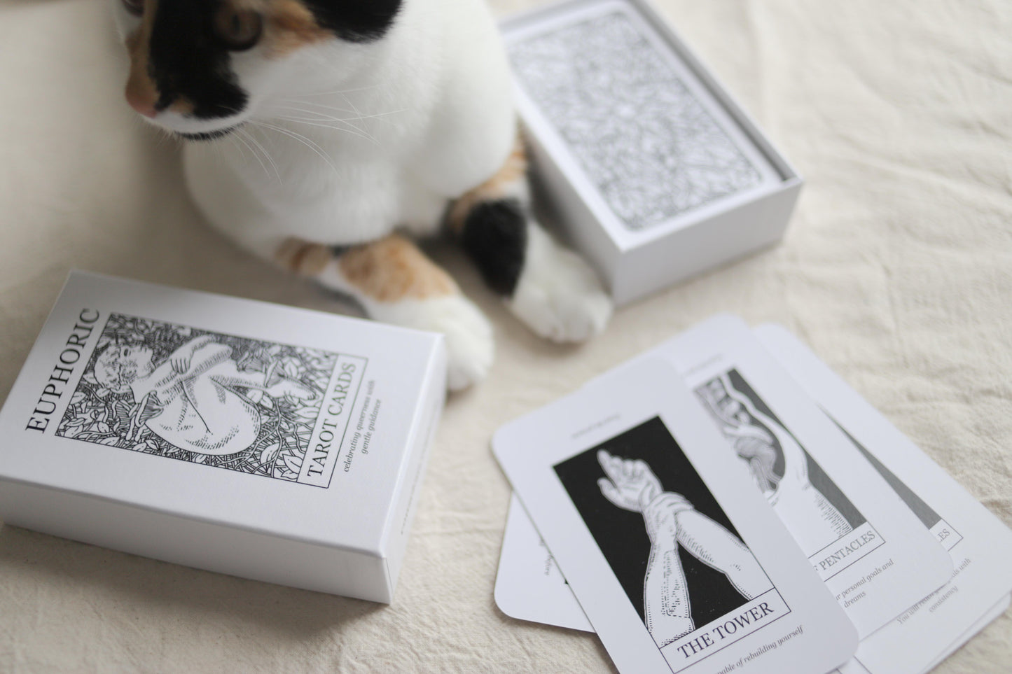 LGBTQ+ Tarot Affirmation Deck | Euphoric Tarot Cards