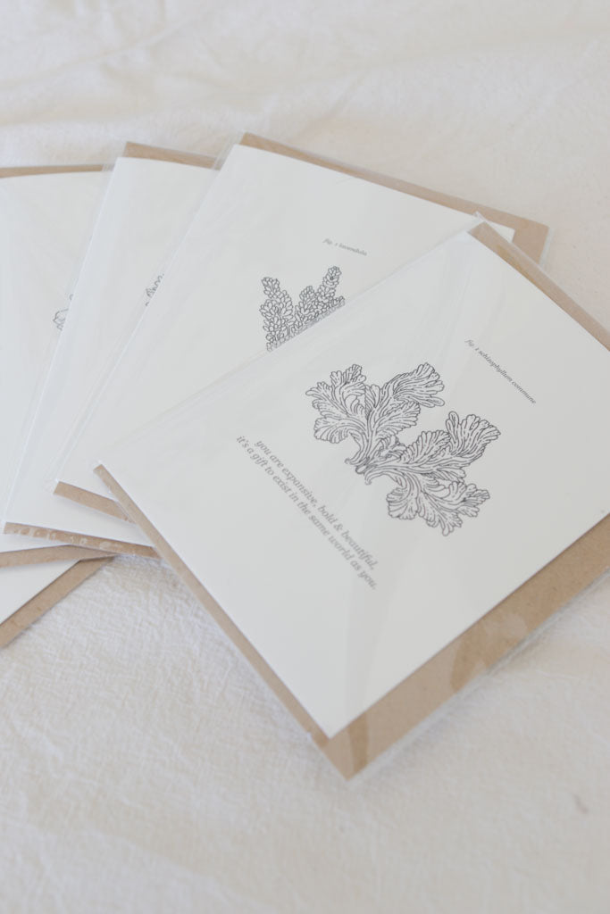 "Too Much & Perfect" Mushroom Affirmation Card – Queer Joy, Self Love