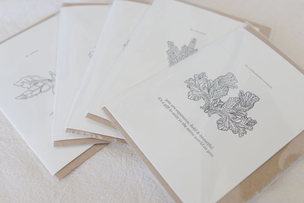 "Too Much & Perfect" Mushroom Affirmation Card – Queer Joy, Self Love