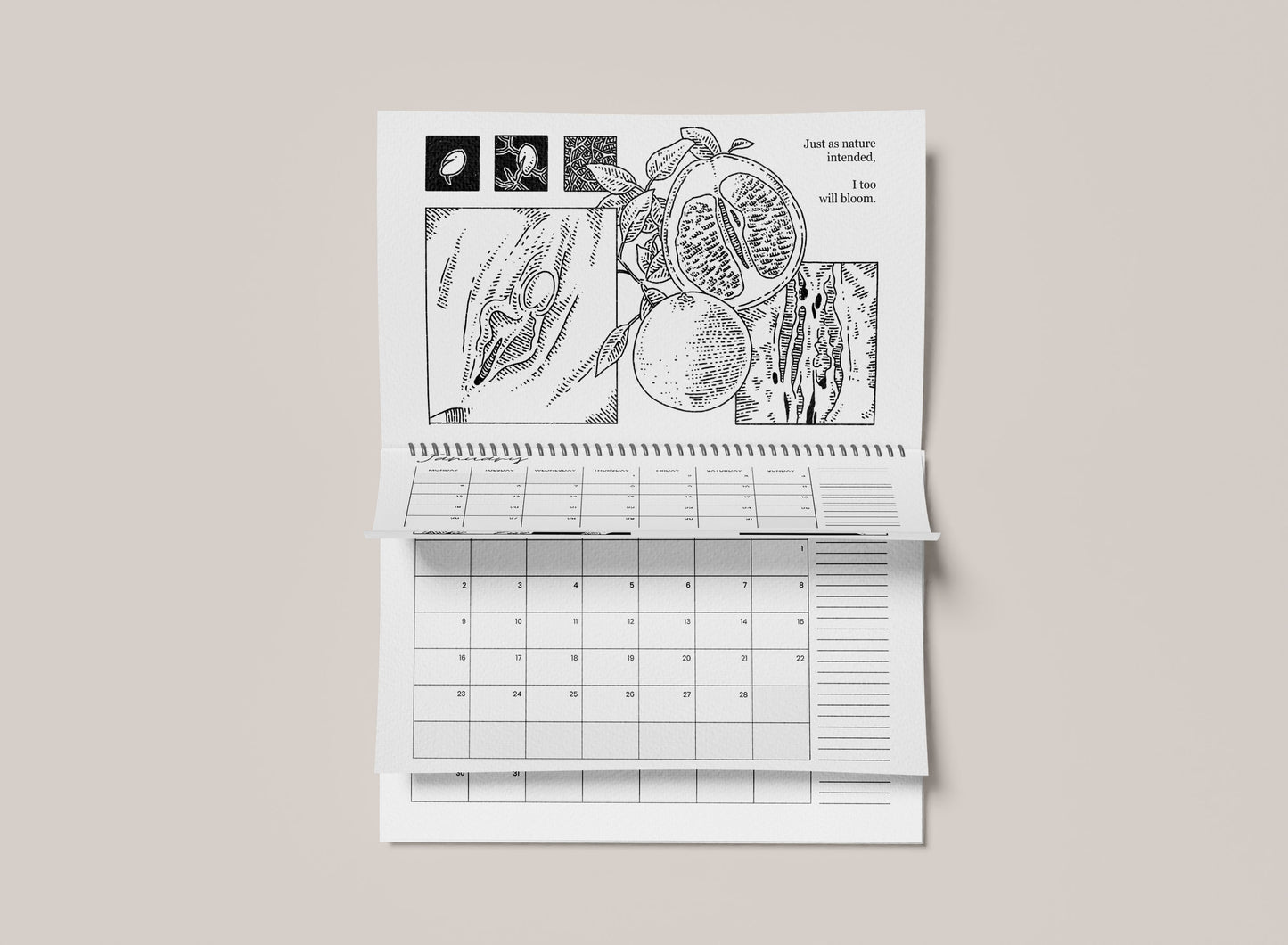 Queer Kink Calendar 2025 – Celebrating Trans, Queer & Kinky Bodies