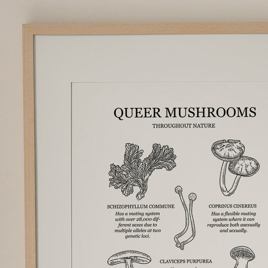 Mushroom Botanical Art Print | Cottagecore Nature Wall Art