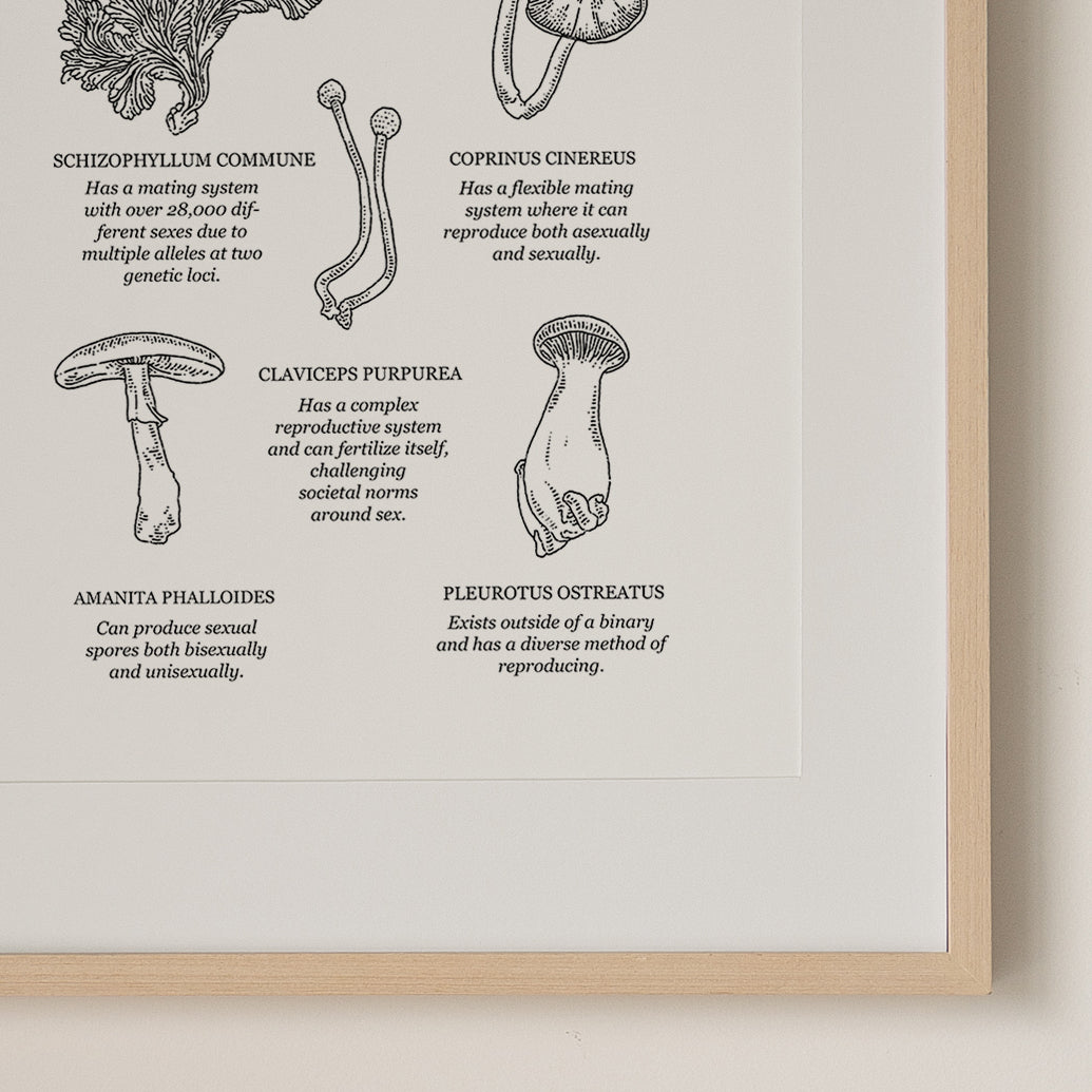 "Queer Mushrooms" | Queer Art Print