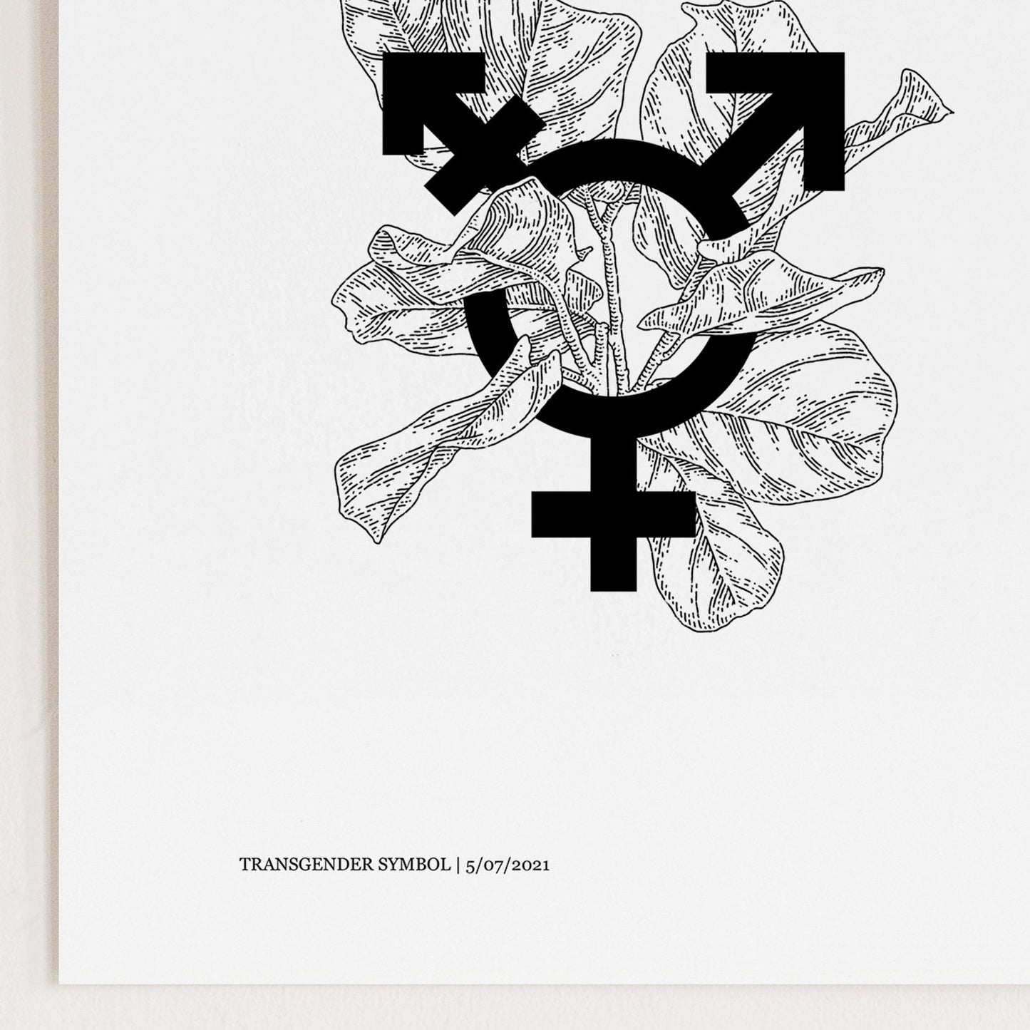 Trans symbol | Transgender Art Print