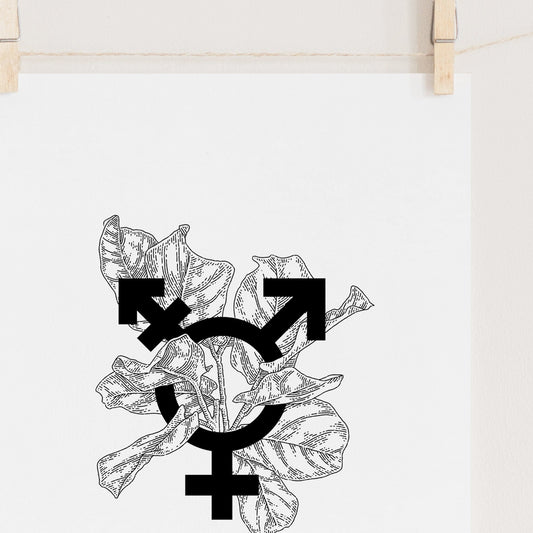Trans symbol | Transgender Art Print