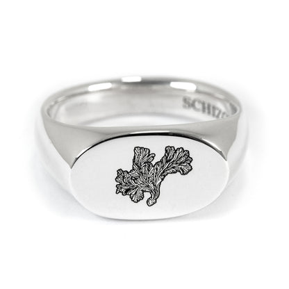 Mushroom Signet Ring – Handmade Solid 925 Silver | Gender Diversity Symbol