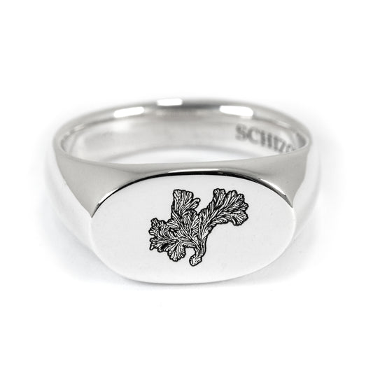 Mushroom Signet Ring – Handmade Solid 925 Silver | Gender Diversity Symbol