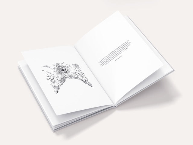 Body Like Mine | Illustrated Trans Art Book by Ocean Grove