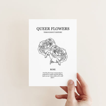 Queer Flowers Postcard Pack