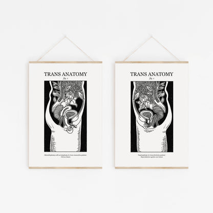 Trans Masc & Femme Anatomy | Transgender Art Print 2 Pack