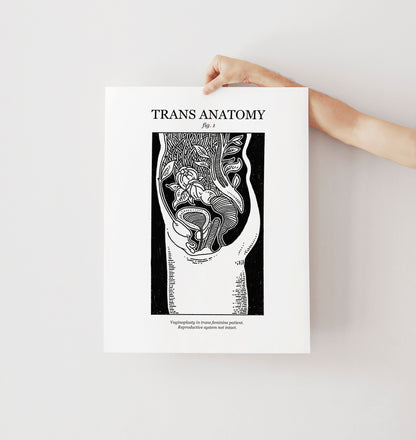 Trans Masc & Femme Anatomy | Transgender Art Print 2 Pack